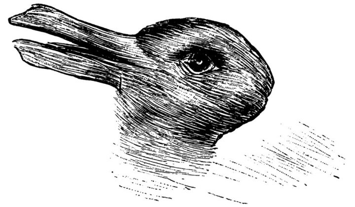 jastrow-que-animal-ves-conejo-pato-viral-ilustracion-720x420